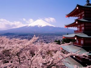 Japón en primavera cerezo flor