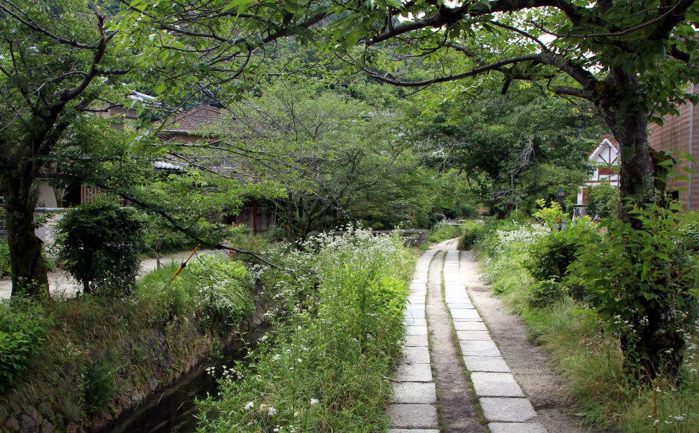 camino del filosofo, kioto
