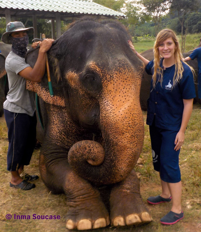Baan Chang Elephant park - experiencia unica