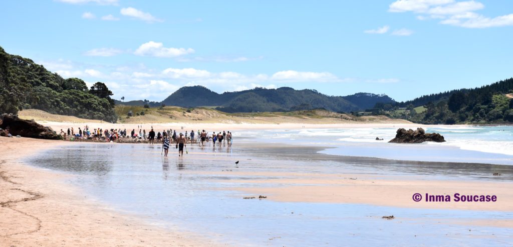 Whitianga playa Hot Water beach 