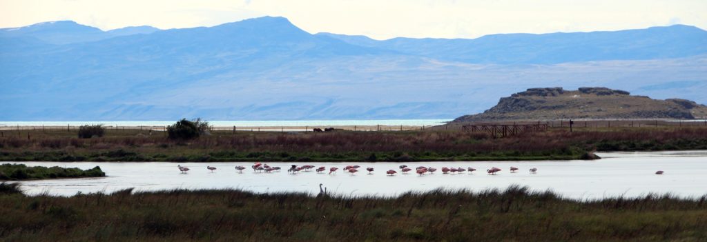 Panoramica Laguna Nimez