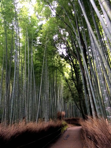 bosque de bambú, Arashiyama 2