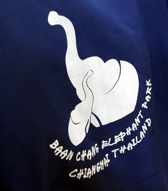 Baan Chang Elephant park - logo