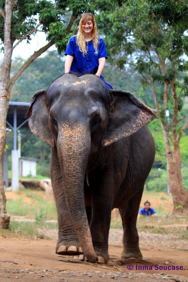 Baan Chang Elephant park - practicando