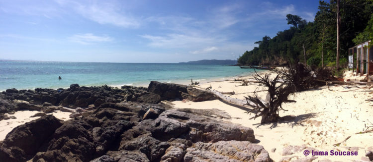 Bamboo Island 2