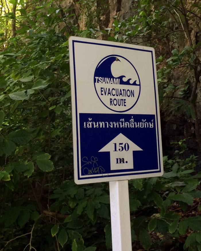 cartel tsunami Tailandia
