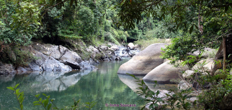 parque nacional Khao sok - naturaleza rio lago