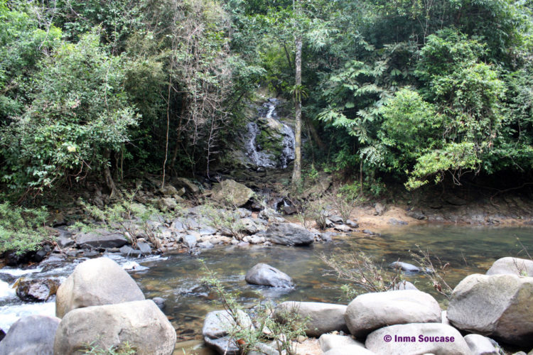 parque nacional Khao sok - trekking rio