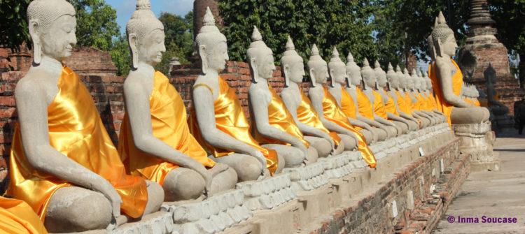 Wat Yai Chaya Mongkol - budas