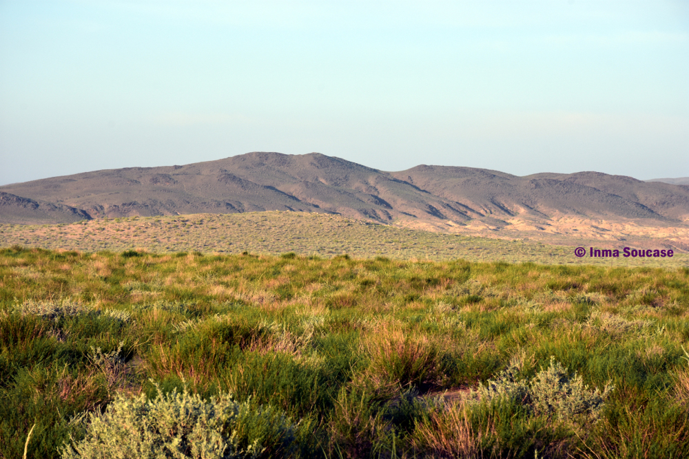 desierto-gobi-mongolia