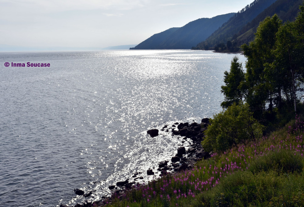 lago-baikal-flores