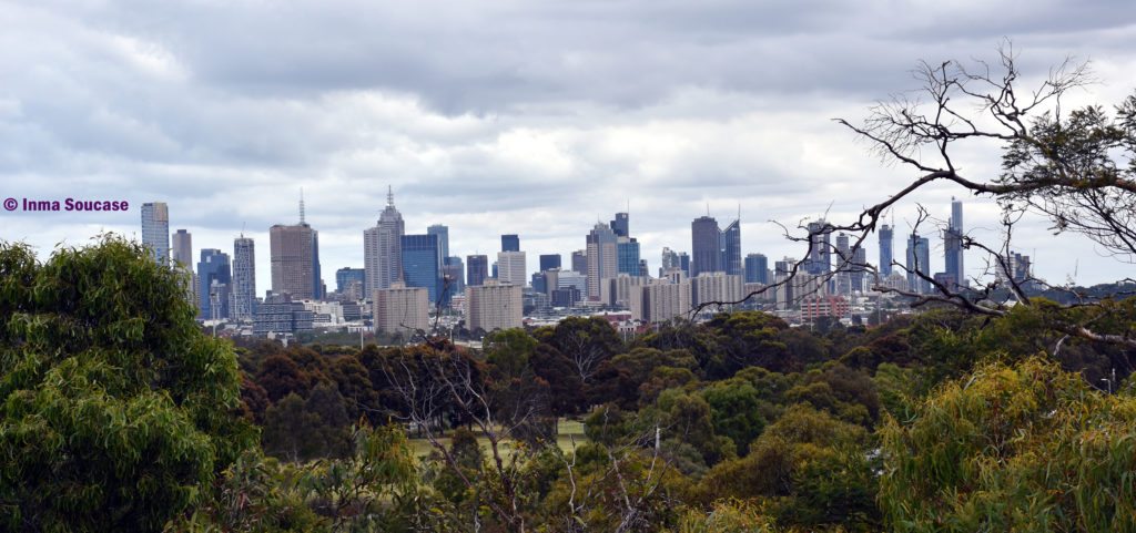 Skyline Melbourne - Yarra Bend Park