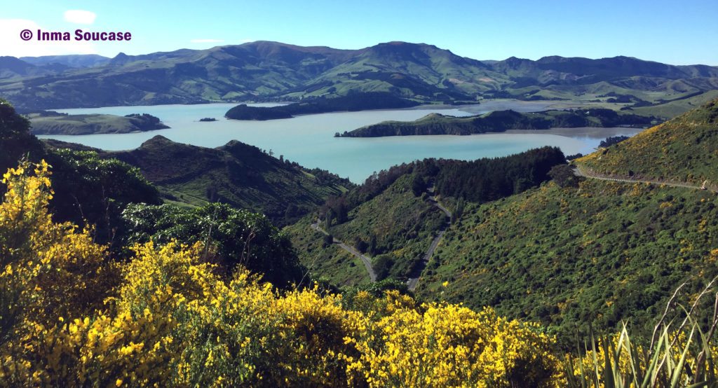 crater rim walkway - Christchurch ruta