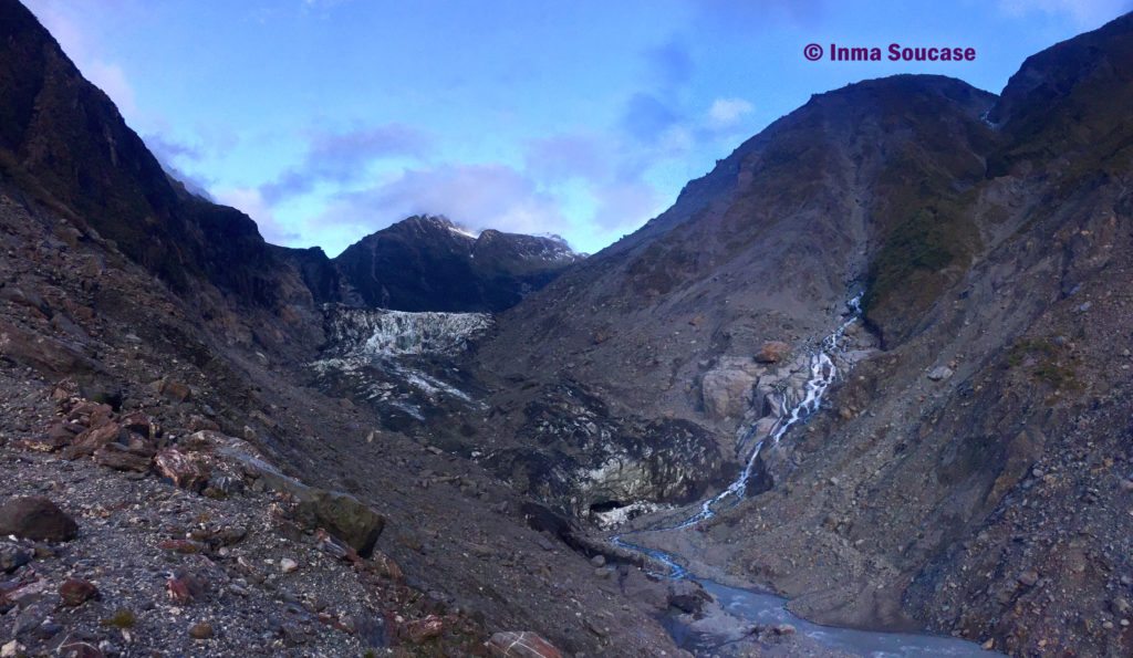 lengua glaciar fox