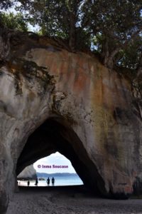 Cathedral-Cove