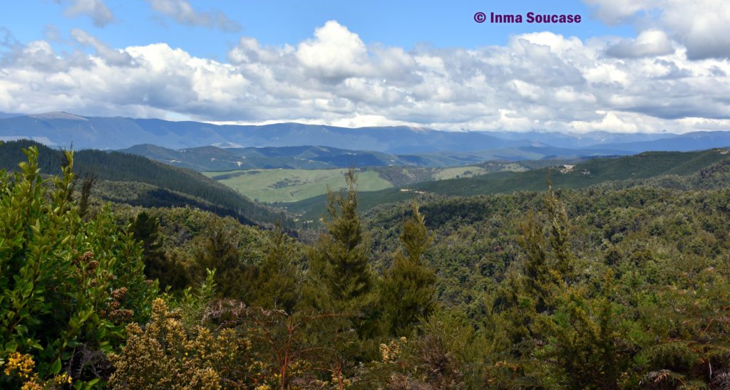 Motueka Howkes lookout - montañas