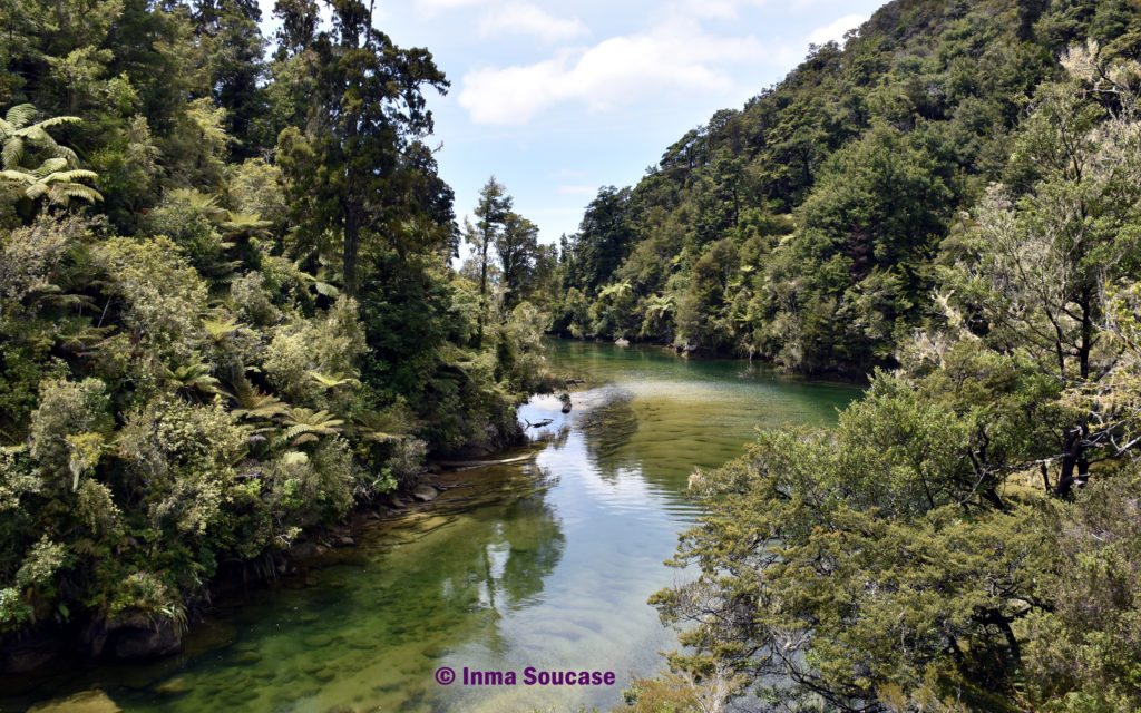 Parque Nacional Abel Tasman rio