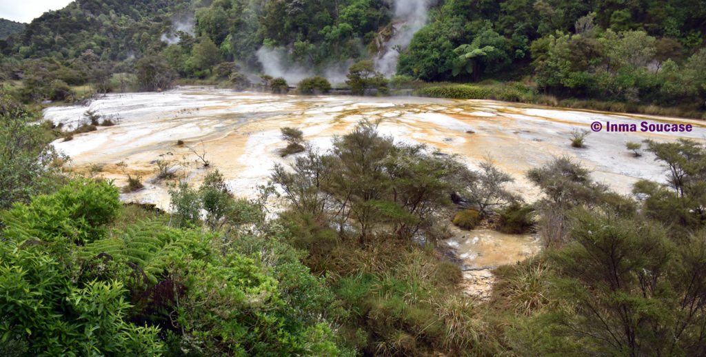 Waimangu piscina amarilla