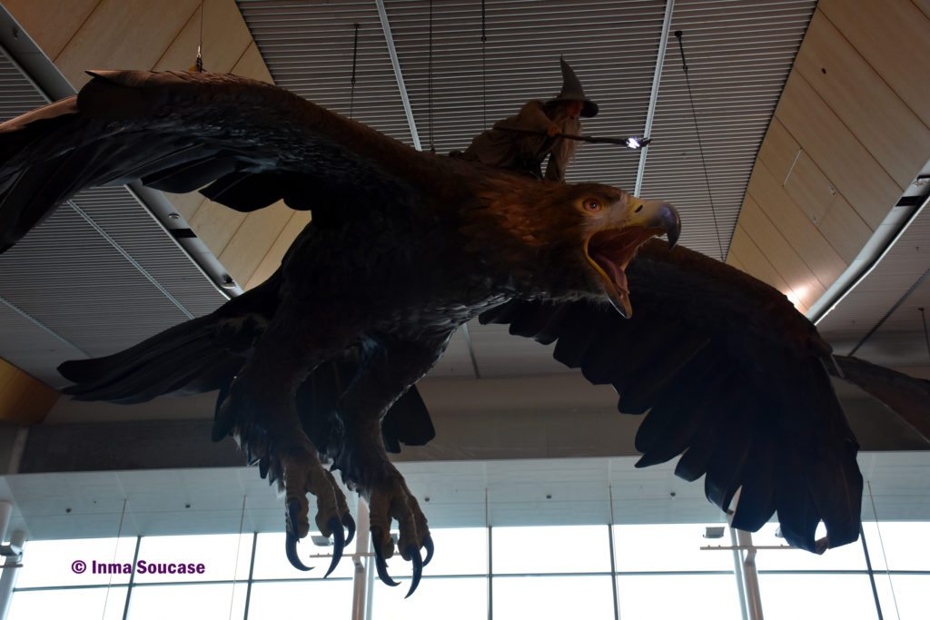 aeropuerto Wellington Gandalf aguila