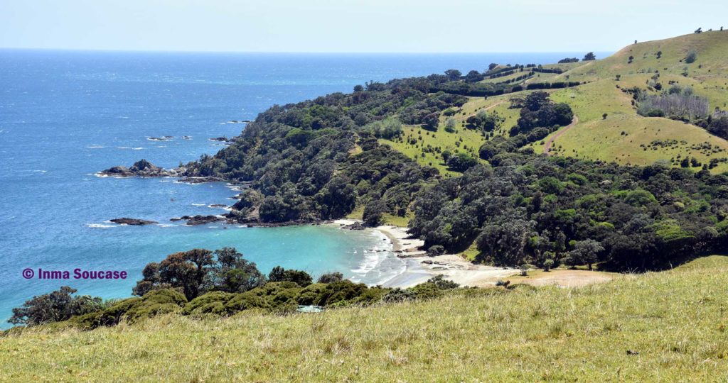 isla-Waiheke-costa