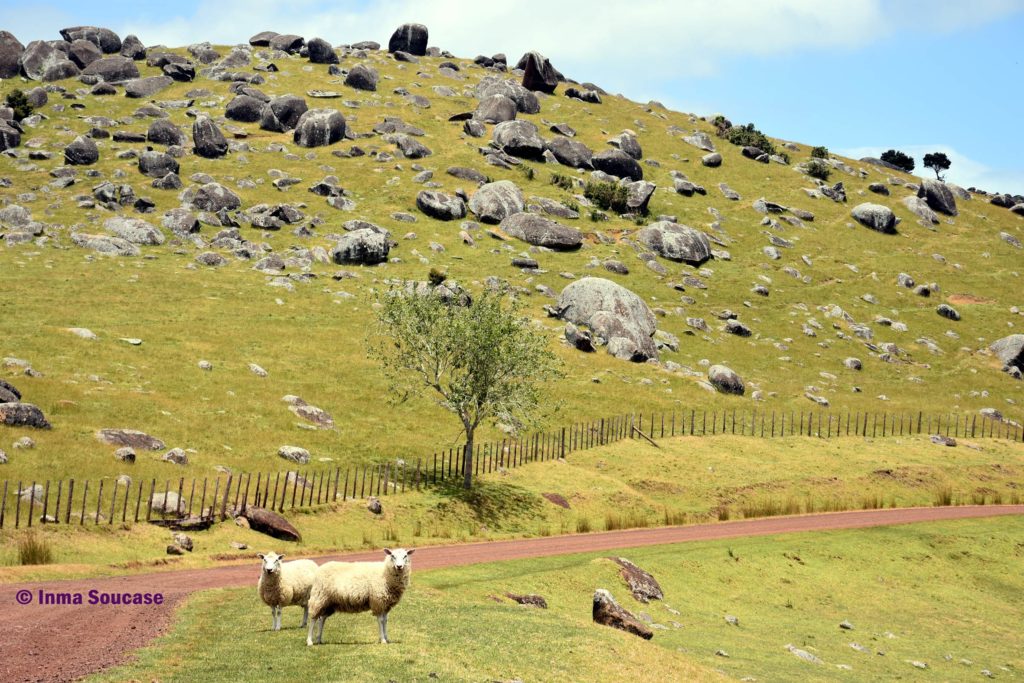 isla-Waiheke-piedras