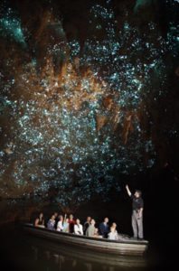 waitomo-glowworm-caves